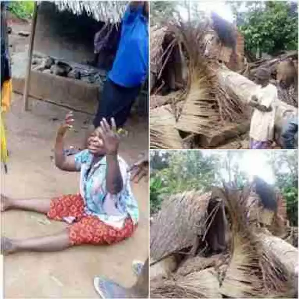 Elderly Woman Narrowly Escapes Death In Imo State After Huge Tree Falls On Her Mud House (Pics)